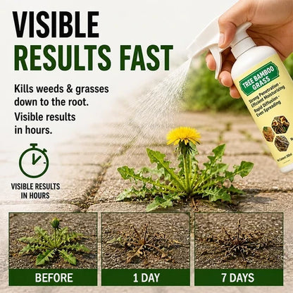 🔥2026 SALE - Fast-Acting Natural Weed & Grass Killer Spray